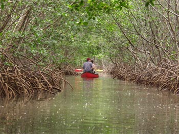 kayaking